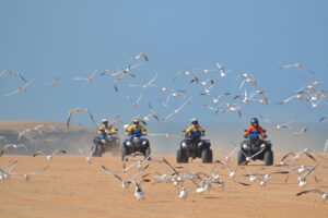 Dakhla quad biking tour with oceon view