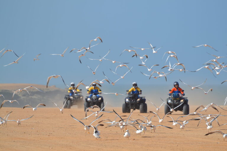 Dakhla quad biking tour with oceon view