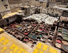 Fez
