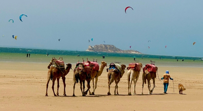 Balade Chameau Dakhla