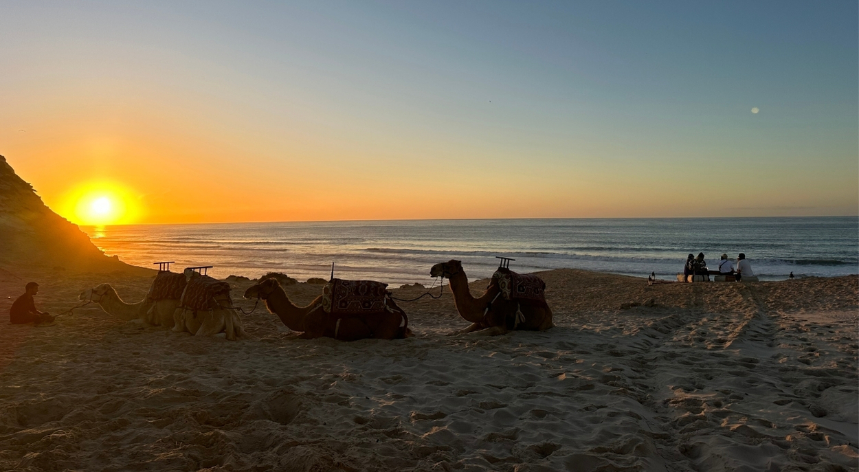 Dakhla Camel Riding