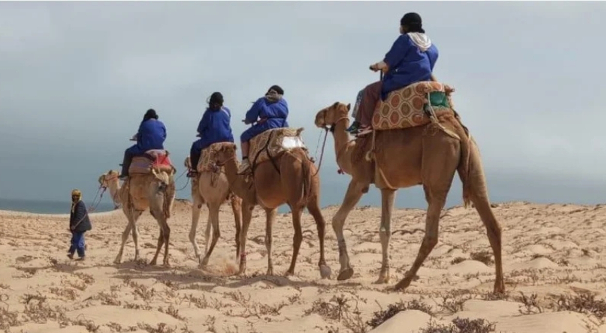 Camel Riding in dakhla