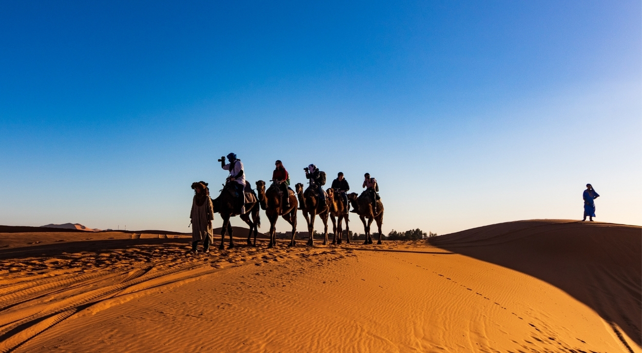Dakhla Camel Riding