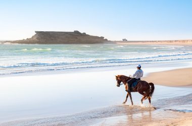 Horse Ride dakhla Horse Ride dakhla